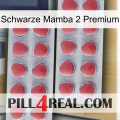 Black Mamba 2 Premium 19
